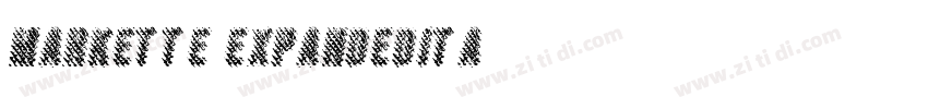 Markette ExpandedIta字体转换